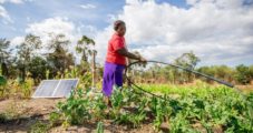 Bboxx s’associe à EDF pour élargir l’accès à une agriculture solaire durable