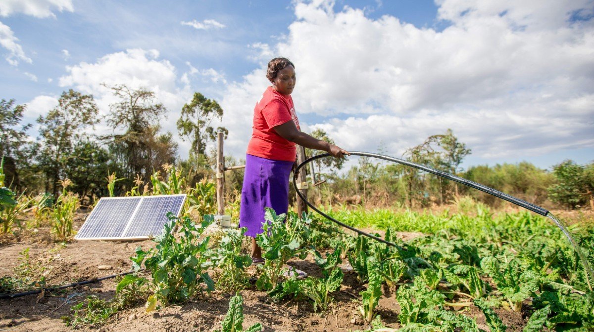 Bboxx s’associe à EDF pour élargir l’accès à une agriculture solaire durable